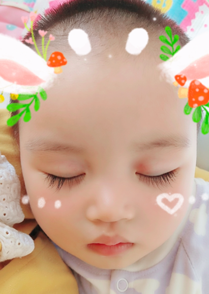 模特-