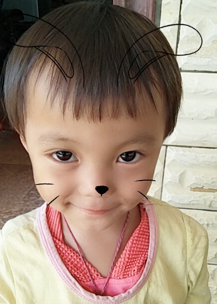 模特-