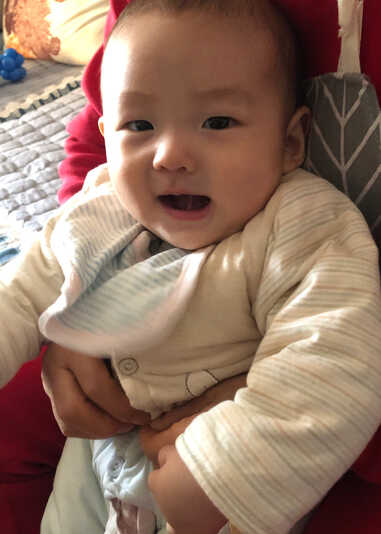 模特-