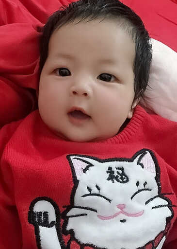 模特-