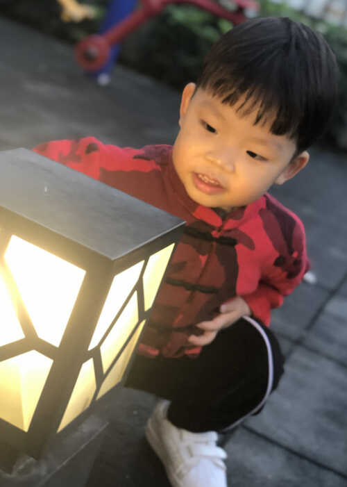 模特-