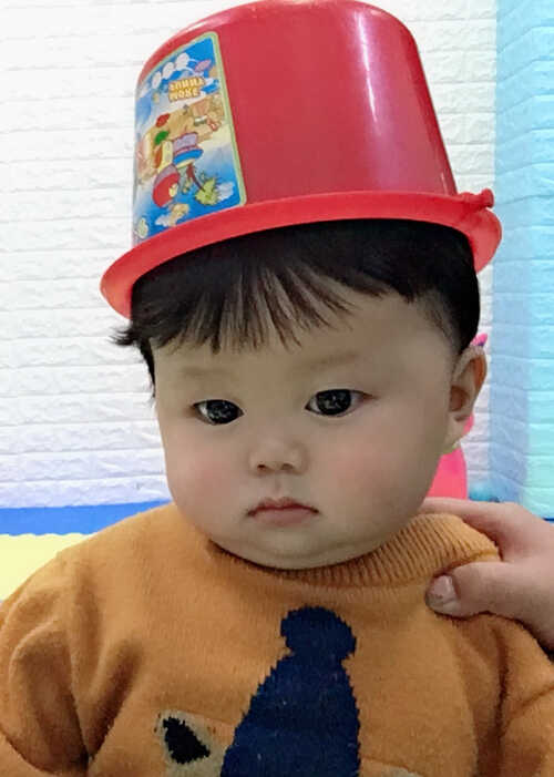 模特-