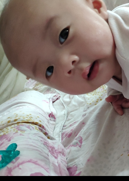 模特-