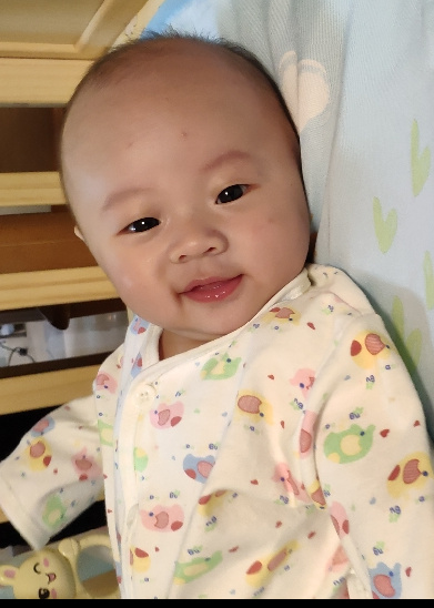 模特-