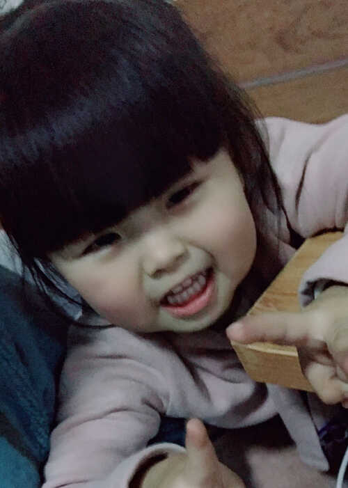 模特-