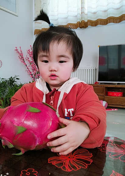 模特-