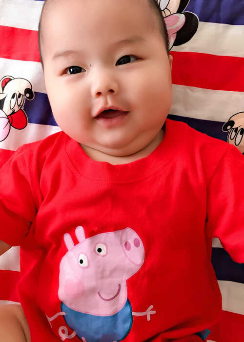 模特-