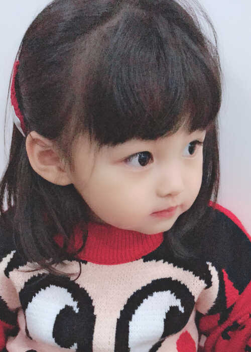 模特-