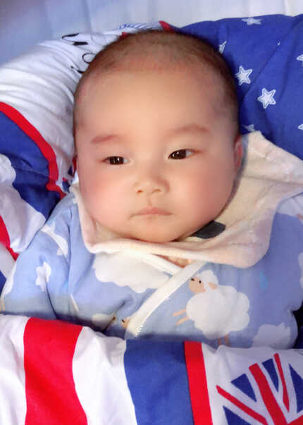 模特-