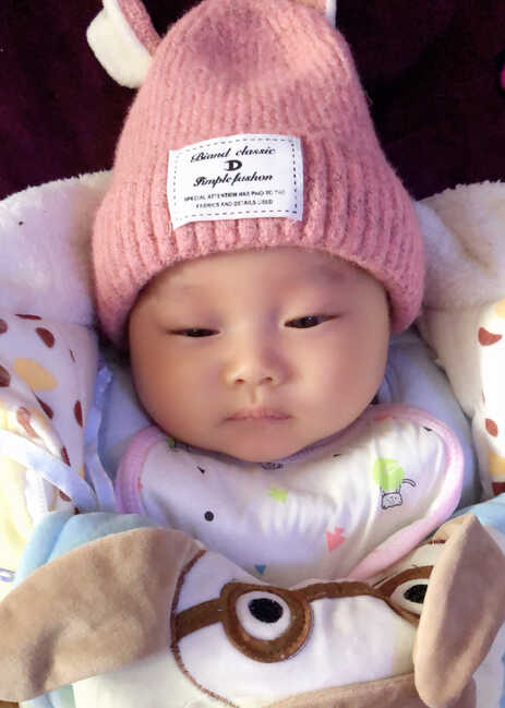 模特-