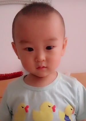 模特-