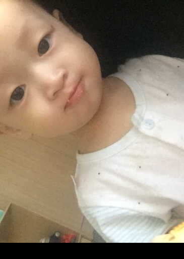 模特-