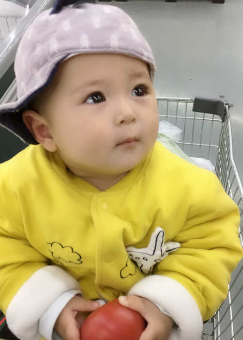 模特-