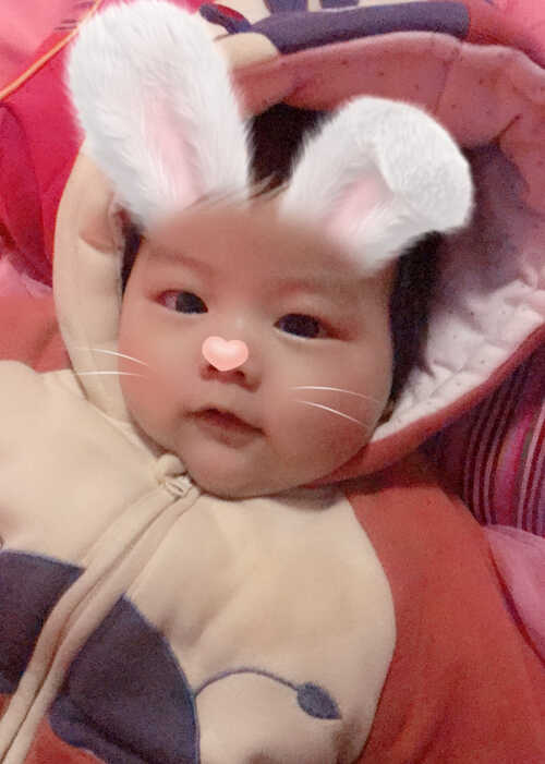 模特-