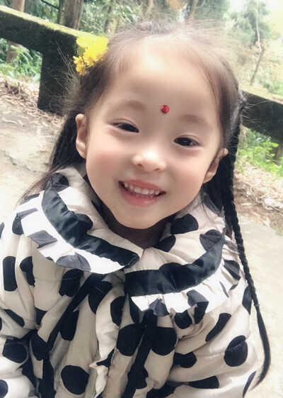 模特-