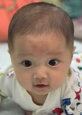 模特-