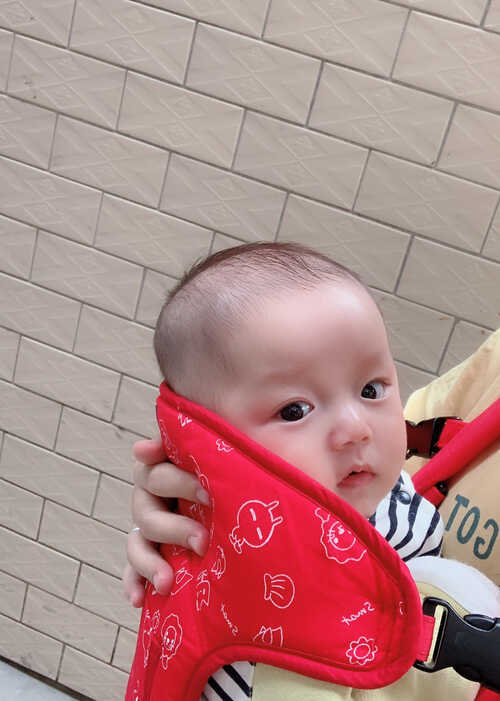模特-