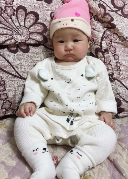 模特-