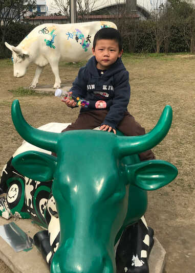模特-