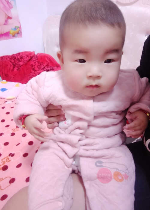 模特-