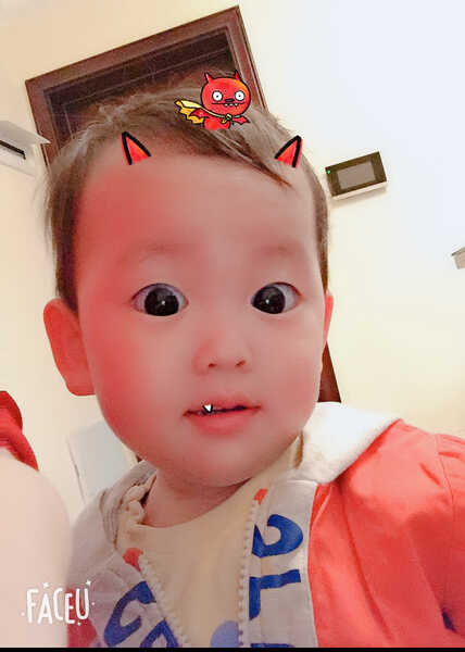 模特-