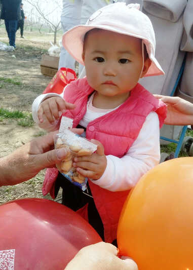 模特-