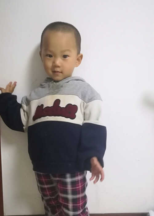 模特-