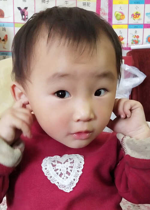 模特-