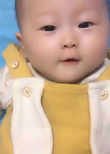 模特-