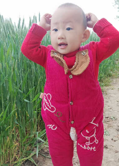 模特-