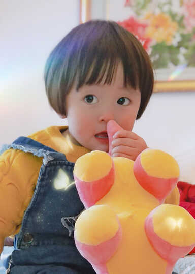 模特-