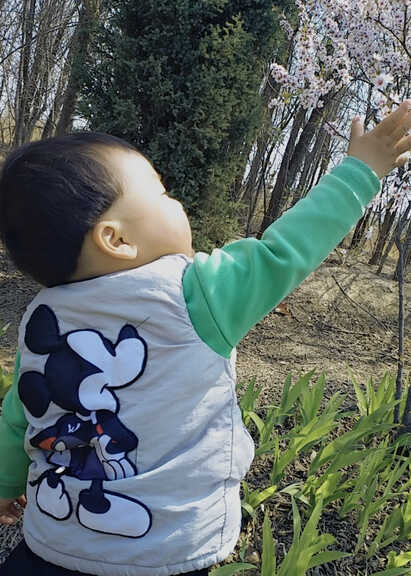 模特-