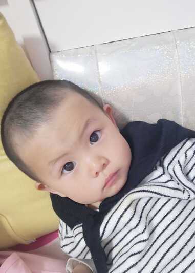 模特-