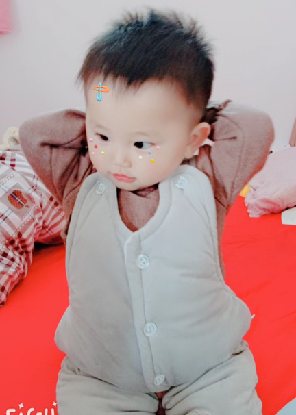 模特-