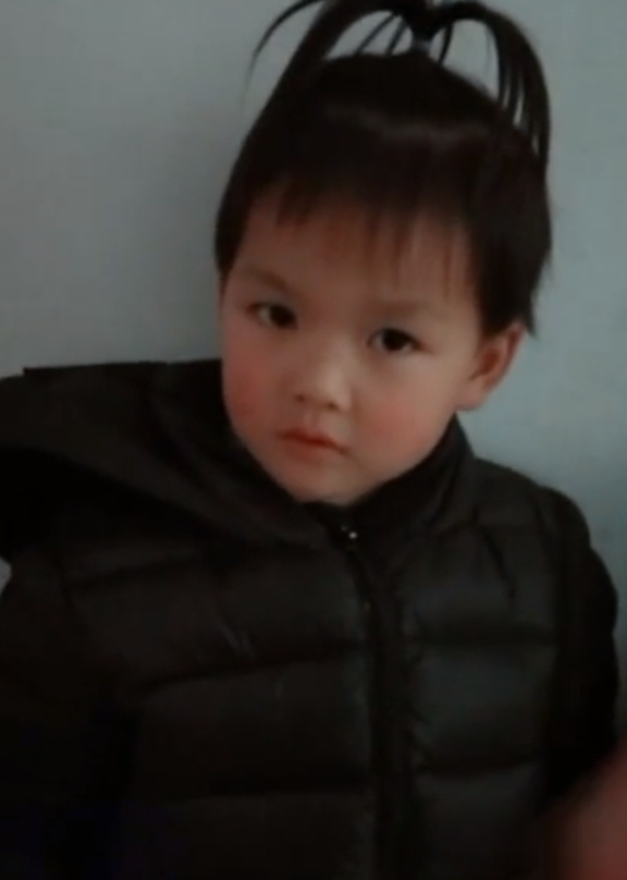模特-