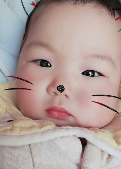 模特-