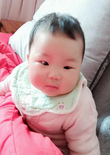 模特-