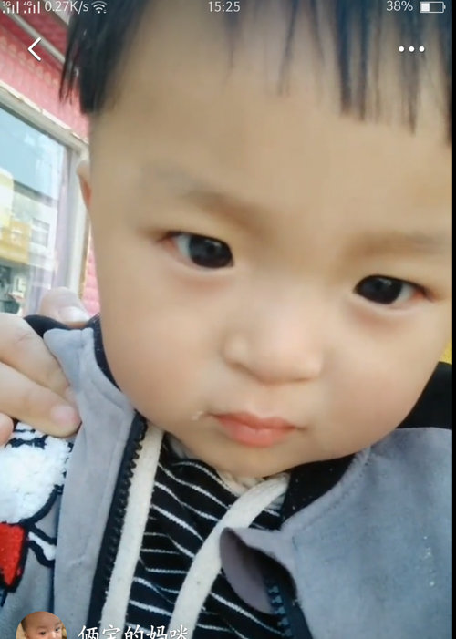 模特-