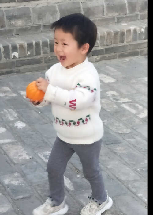 模特-