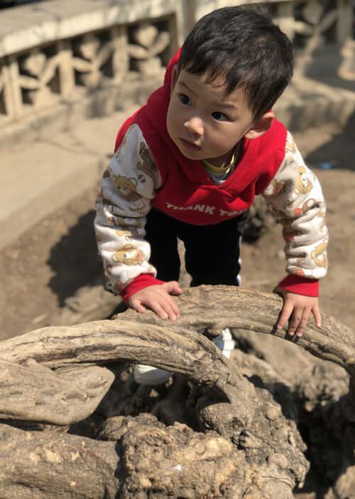 模特-