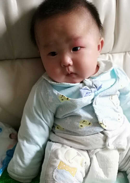 模特-