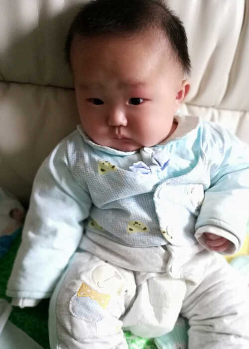 模特-