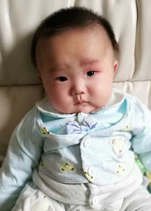 模特-
