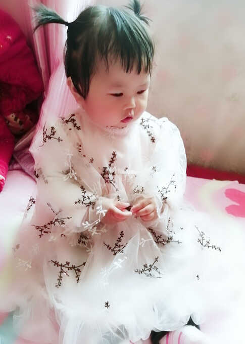 模特-