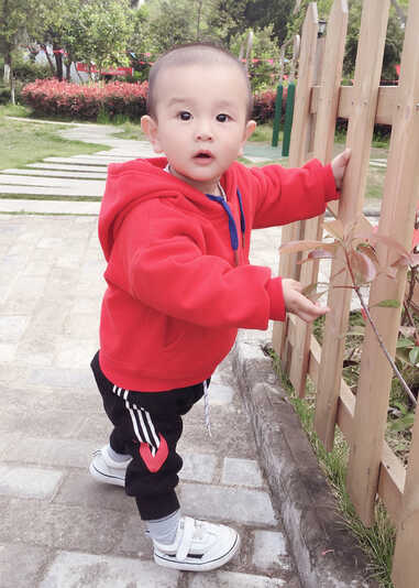 模特-