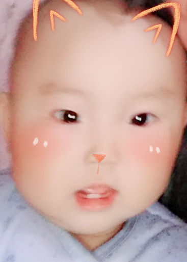 模特-