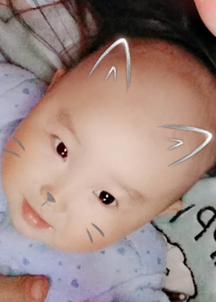 模特-