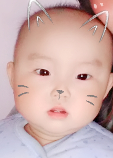 模特-