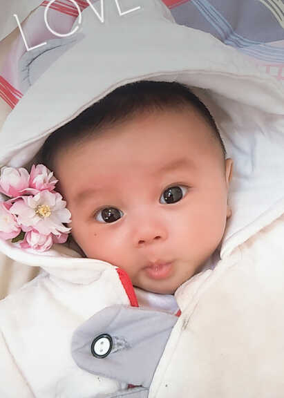 模特-