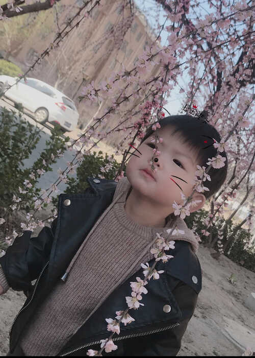 模特-